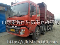江苏二手前四后八轻皮自卸车260马力轻量化翻斗车