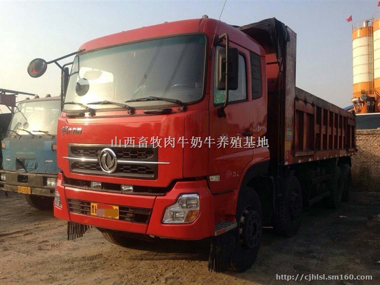 江苏二手前四后八轻皮自卸车260马力轻量化翻斗车