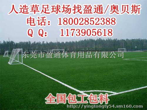 阿里林芝足球场人造草皮价格,琼结措美足球场施工