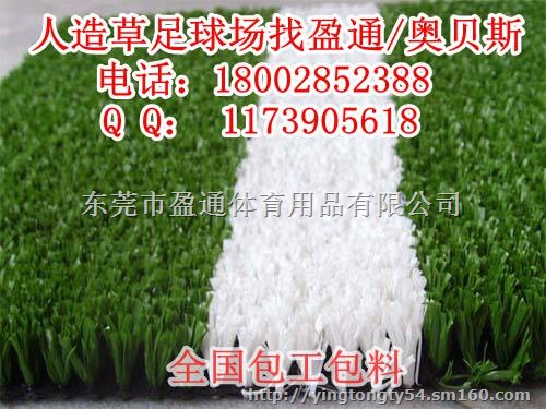 阿里林芝足球场人造草皮价格,琼结措美足球场施工