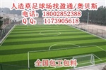 阿里林芝足球场人造草皮价格,琼结措美足球场施工