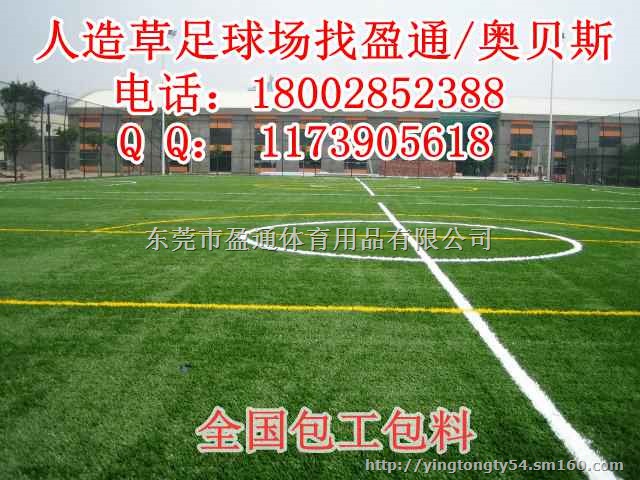 拉萨那曲足球场人造草皮价格,洛扎曲松足球场施工