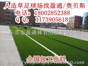 拉萨那曲足球场人造草皮价格,洛扎曲松足球场施工