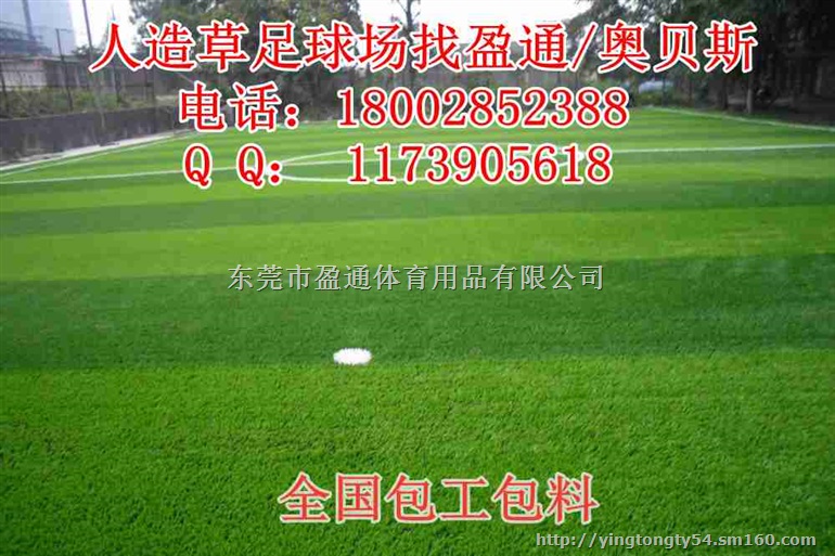 拉萨那曲足球场人造草皮价格,洛扎曲松足球场施工