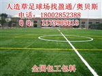 拉萨那曲足球场人造草皮价格,洛扎曲松足球场施工