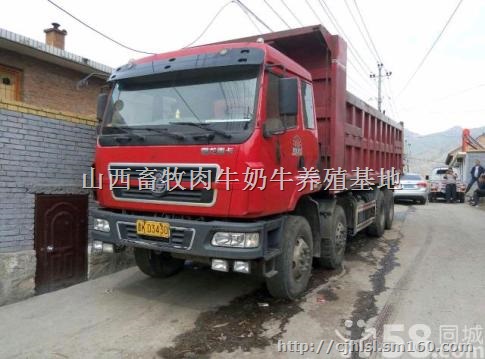 湖南二手前四后八轻皮自卸车价格