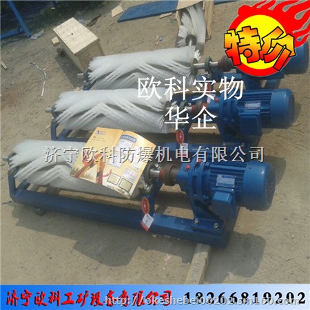 滚刷清扫器 电动滚刷清扫器