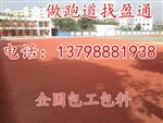 枞阳县潜山县田径跑道塑胶,彩色颗粒跑道价格
