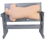 腹部移动性浊叩诊与腹腔穿刺训练模型