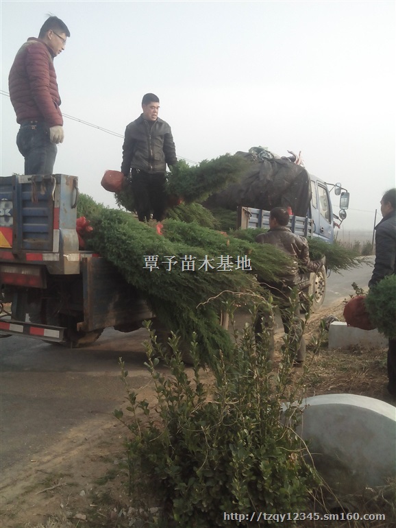 *1.2米1.5米1.8米2米2.5米蜀侩价格