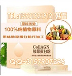 骨胶原蛋白粉OEM/ODM胶原蛋白口服饮品贴牌