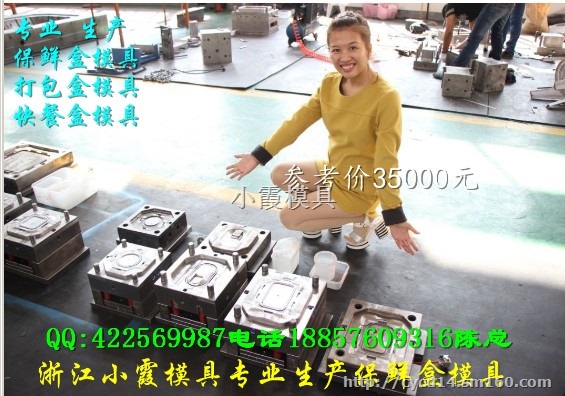 黄岩加工注射电表箱模，18表电表箱模具