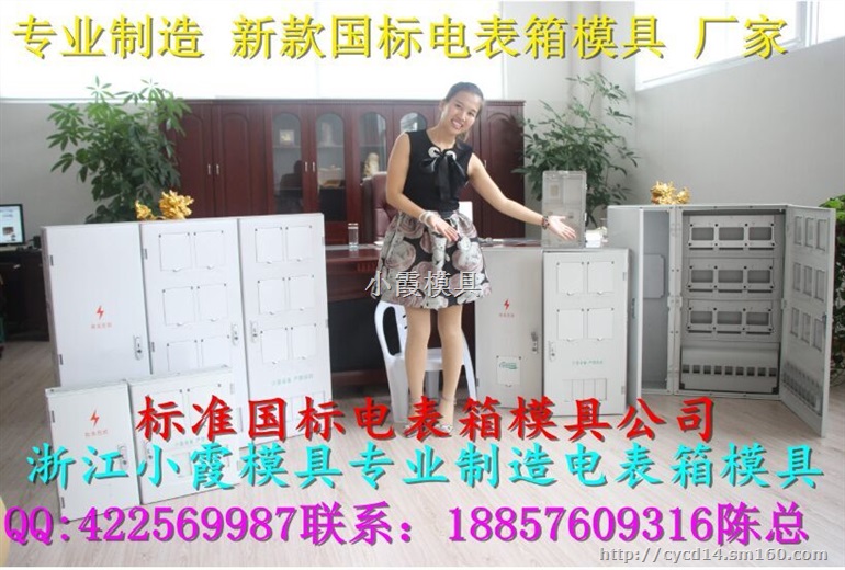 出口1表位塑料电表箱模具 20表位电表箱塑胶模具