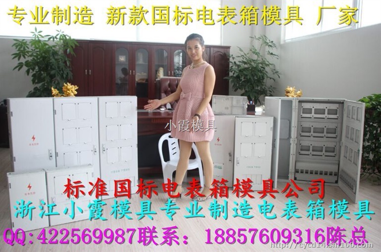 16表位塑料电表箱模具，5表位电表箱塑胶模具