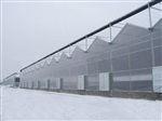 阳光板温室大棚