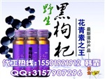 蓝莓黑枸杞饮品代加工厂50ml枸杞玛咖饮oem