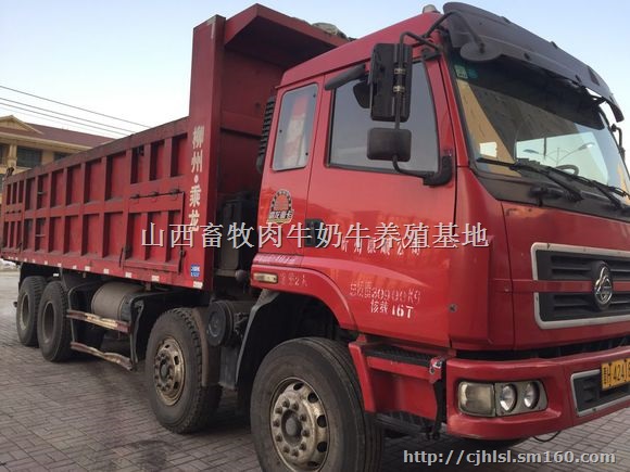 青海二手东风前四后四自卸车价格