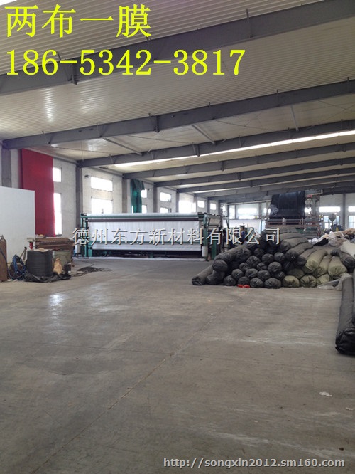 1.5mm聚乙烯土工膜价格
