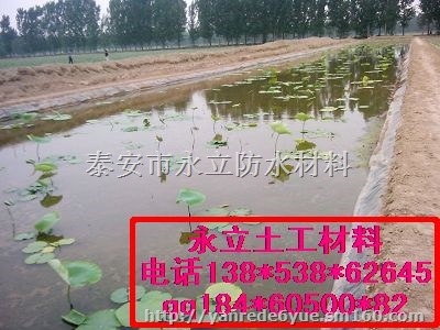 新乡泥鳅养殖防渗膜莲藕种植膜规格型号138538