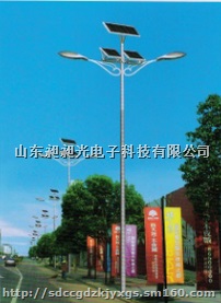厂家直销  太阳能路灯