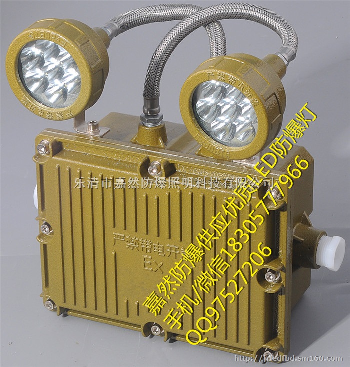 50WLED防爆吊灯,led防爆壁灯40w