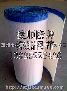 聚酯方格网带.聚酯输送带,过滤网带,聚酯螺旋网带