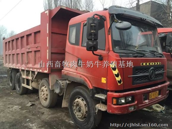 出售东风本部前四后四自卸车价格,东风前四后四自卸车