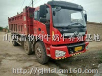 出售东风本部前四后四自卸车价格，东风前四后四自卸车