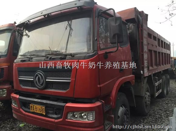 东风沙石王前四后八轻皮自卸车