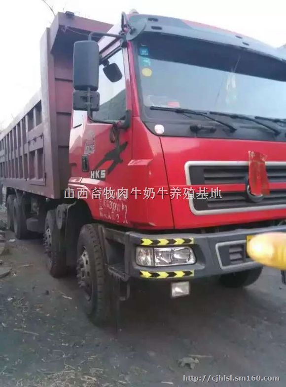 东风沙石王前四后八轻皮自卸车