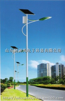 厂家直销 专业可定制 中华灯