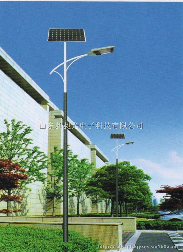 厂家直销 专业可定制 中华灯