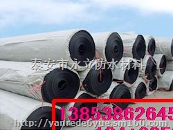 景观湖防渗膜铁路隧道防渗膜hdpe防渗膜单价