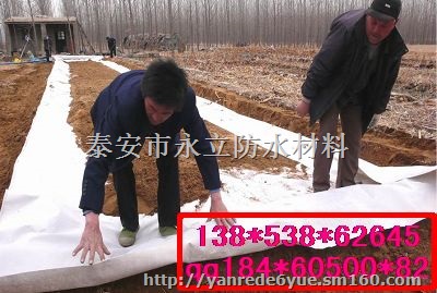 白城垃圾池防渗膜垃圾场防渗hdpe土工膜