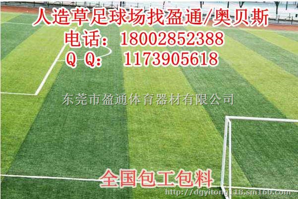 狮子山宣州人造足球草坪,足球场人造草坪铺设
