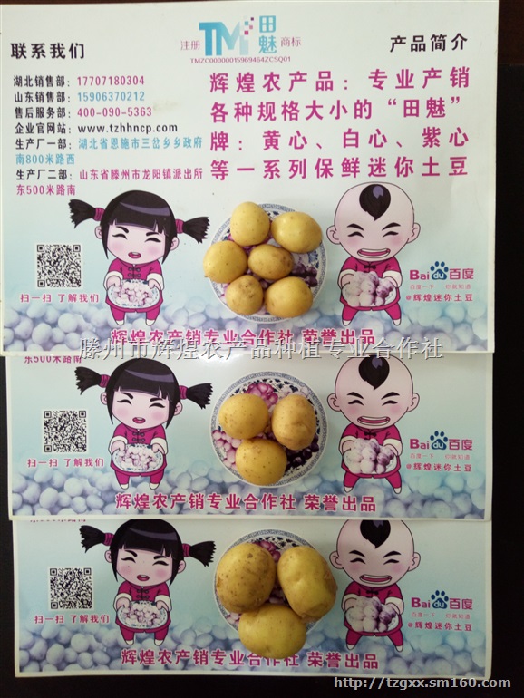 供应2016年现挖新鲜迷你小土豆