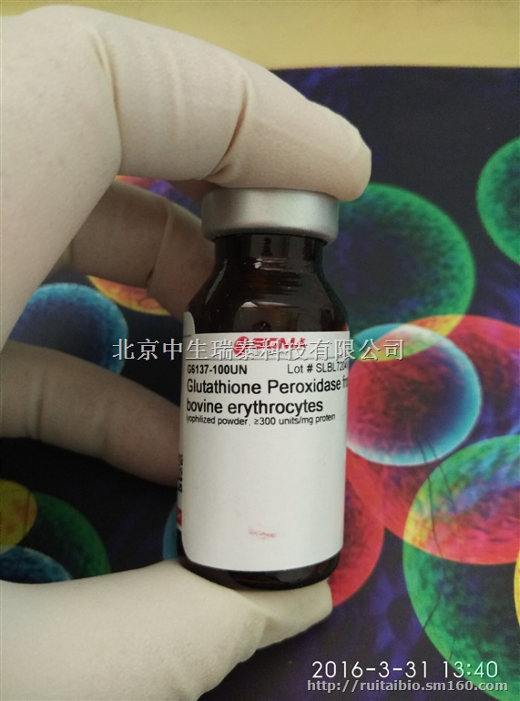 细胞筛选药物嘌呤霉素价格Puromycin