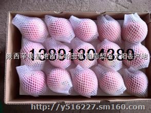 陕西红富士苹果价格冷库箱装红富士苹果产地基地