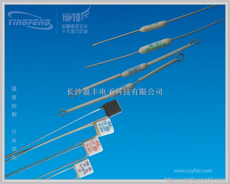 供应RY型温度保险丝温控器热保护器熔断器