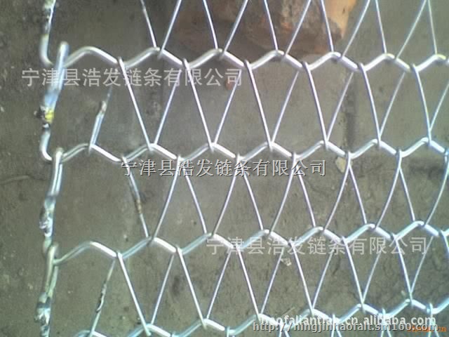 正规生产不锈钢网带厂家