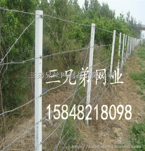 刀片刺绳围网 ,护栏网 内蒙古包头三兄弟网业