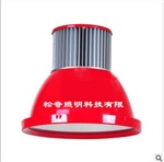 LED生鲜灯30W超市生鲜灯生鲜灯水产海鲜灯