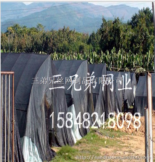 内蒙古包头哪里有做出口遮阳网的,出口遮阳网厂家