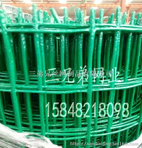 养殖铁丝网、山林防护网、铁丝围栏网 铁丝网 内蒙古