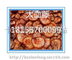乌骨藤