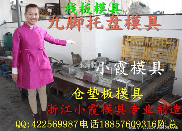 注塑九脚托盘模具厂家