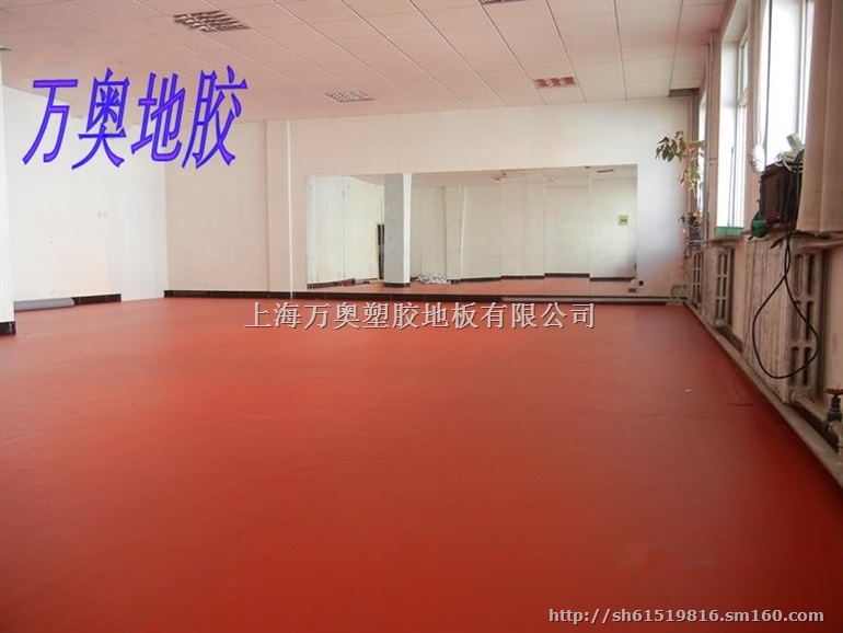 广东舞蹈地胶 山西舞蹈地胶批发