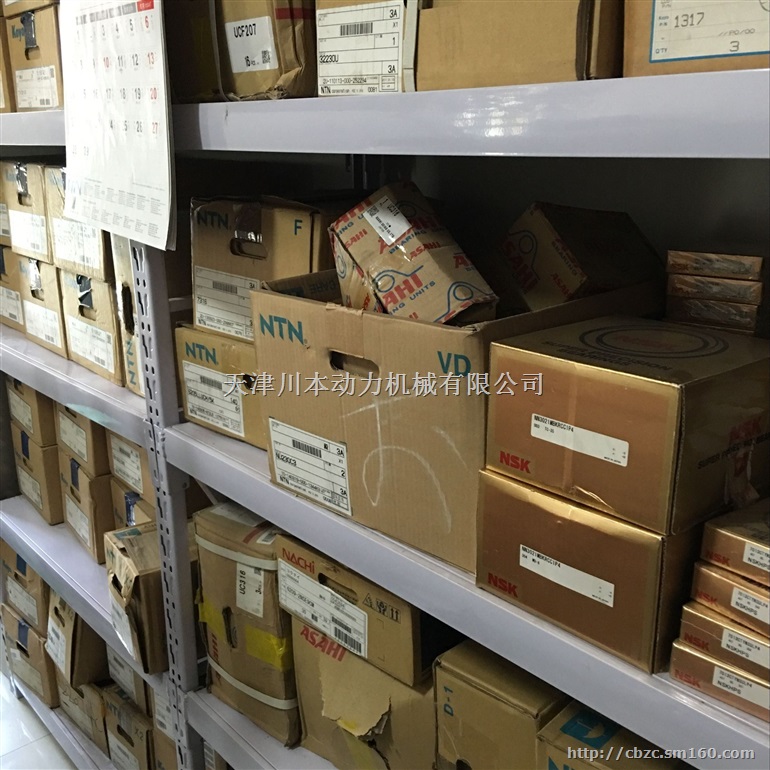 进口轴承NACHI原装进口E5015NR带止动环