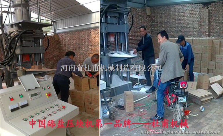 山东全自动液压盐砖机L舔砖机生产厂家