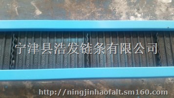 热销链板输送机，全国销量领先